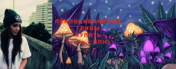 СК Абинск