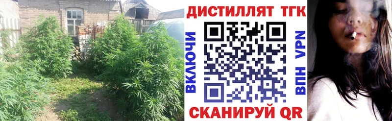 цены наркотик  мега ТОР  Дистиллят ТГК жижа  Егорьевск 