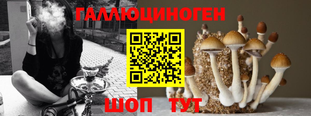 Псилоцибиновые грибы Psilocybe  Вход с VPN  Псилоцибиновые грибы MAGIC MUSHROOMS  Егорьевск 